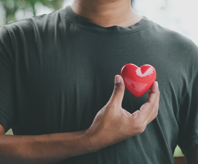 Your Path to Wellness